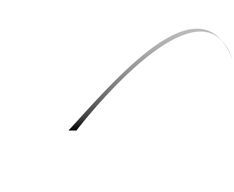 Grupo Vega Transportes